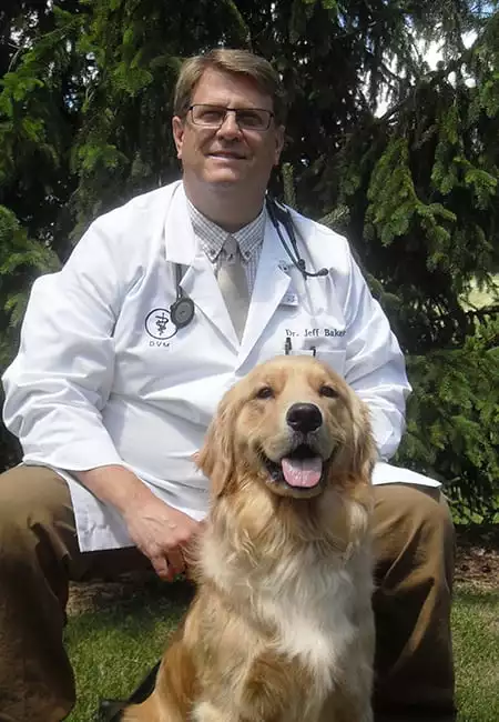 Meet Our Exceptional Pet Care Team | Pewaukee Veterinary Service