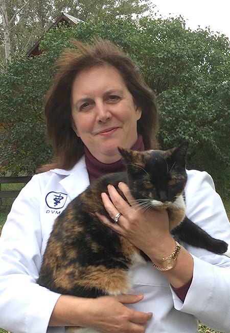 Lisa Nashold, DVM Lisa Nashold, DVM