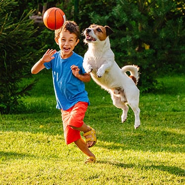 Boy and dog playing with ball: Pet Chiropractic Care in Pewaukee