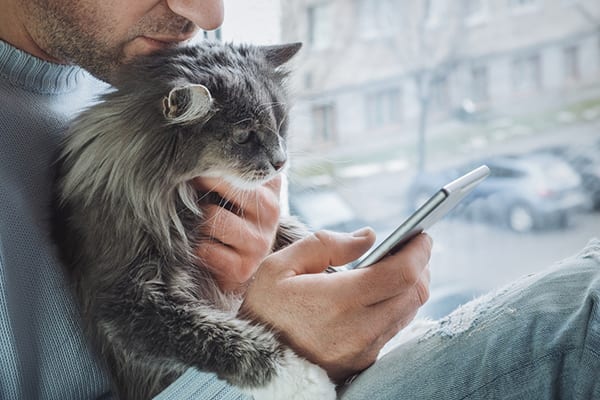 Man holding cat and smartphone: Download Our App in Pewaukee