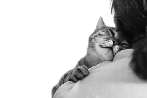 black-and-white-photo-of-cat-snuggling-into-female-owner's-shoulder