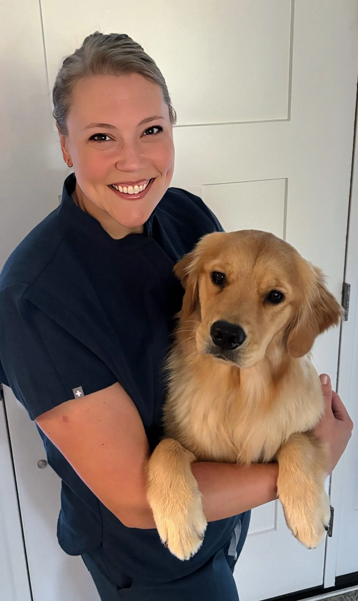 dr-mallo dr mallo holding a golden retriever